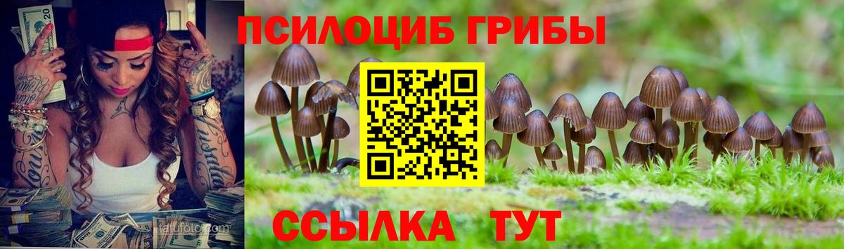 Санкт-Петербург  Галлюциногенные грибы Magic Shrooms  Вход с VPN 
